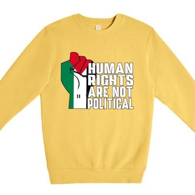 Human Rights Are Not Political Support Palestine And Gaza Premium Crewneck Sweatshirt