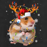 Hamster Reindeer Christmas Lights Funny Hamster Xmas Gift 11oz C Handle Ceramic Mug