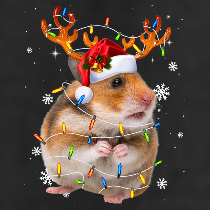 Hamster Reindeer Christmas Lights Funny Hamster Xmas Gift 11oz C Handle Ceramic Mug