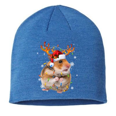 Hamster Reindeer Christmas Lights Funny Hamster Xmas Gift Sustainable Beanie