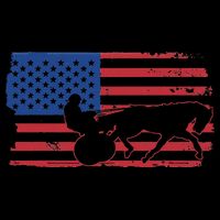 Horse Racing Harness Racing USA Flag Trotter Pacer 16 in Basic Backpack