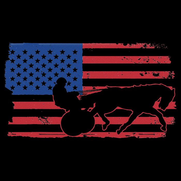 Horse Racing Harness Racing USA Flag Trotter Pacer 16 in Basic Backpack