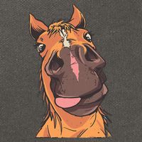 Horse Riding Cotton Canvas Backpack