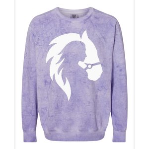 Horse Riding Horse Riding Horse Motif Colorblast Crewneck Sweatshirt