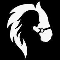 Horse Riding Horse Riding Horse Motif Womens T-Shirt