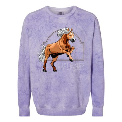 Haflinger Rider Horse Pony Riding Colorblast Crewneck Sweatshirt