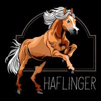 Haflinger Rider Horse Pony Riding Impact Tech Backpack