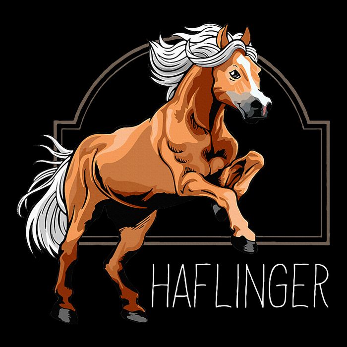 Haflinger Rider Horse Pony Riding Impact Tech Backpack