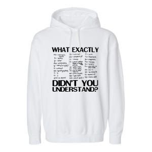 Health Rn Medicine What Exactly Didnt You Understand Gift Garment-Dyed Fleece Hoodie