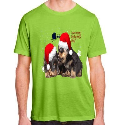 Holiday Ready Rottweilers A Puppy First Christmas Gift Adult ChromaSoft Performance T-Shirt