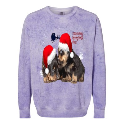 Holiday Ready Rottweilers A Puppy First Christmas Gift Colorblast Crewneck Sweatshirt