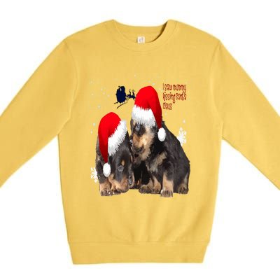 Holiday Ready Rottweilers A Puppy First Christmas Gift Premium Crewneck Sweatshirt