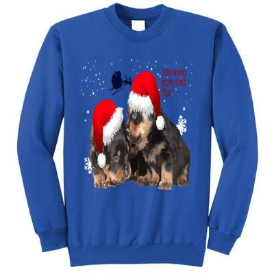 Holiday Ready Rottweilers A Puppy First Christmas Gift Tall Sweatshirt