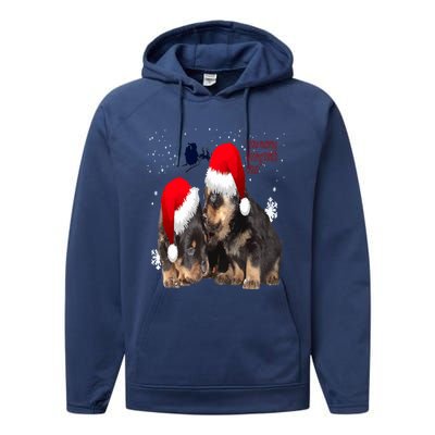 Holiday Ready Rottweilers A Puppy First Christmas Gift Performance Fleece Hoodie