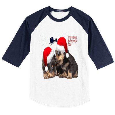 Holiday Ready Rottweilers A Puppy First Christmas Gift Baseball Sleeve Shirt