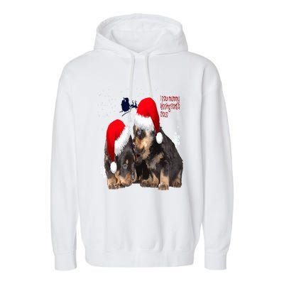 Holiday Ready Rottweilers A Puppy First Christmas Gift Garment-Dyed Fleece Hoodie