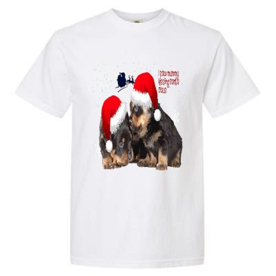 Holiday Ready Rottweilers A Puppy First Christmas Gift Garment-Dyed Heavyweight T-Shirt