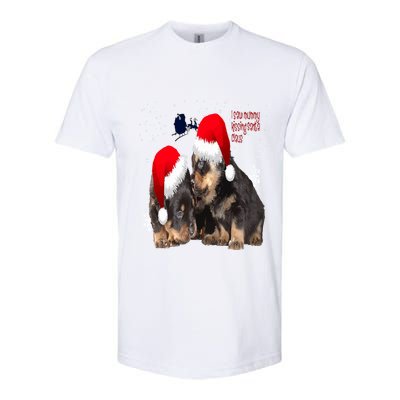 Holiday Ready Rottweilers A Puppy First Christmas Gift Softstyle CVC T-Shirt