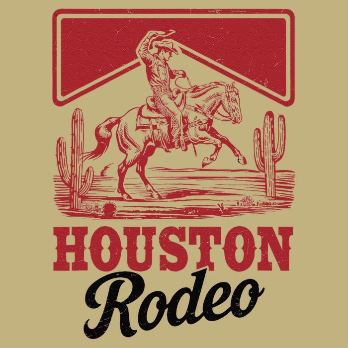 Houston Rodeo Vintage Bronc Horse Riding Cowboy Hoodie