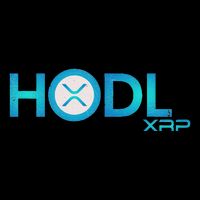 Hodl Ripple Xrp Moon Crypto Currency Wool Snapback Cap
