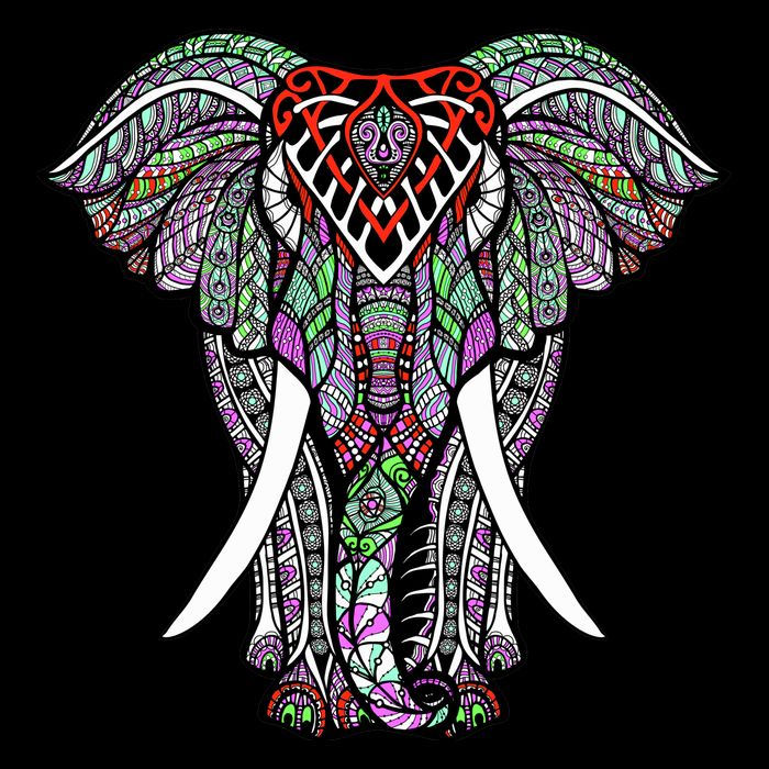 Henna Stylish Artistic Save The Elephants Wildlife Cropped Pullover Crew