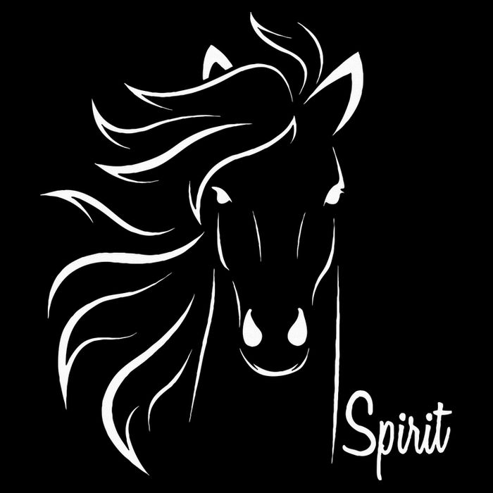 Horse Spirit Animal For Riding Lovers Feel Free Gift Idea Bucket Hat