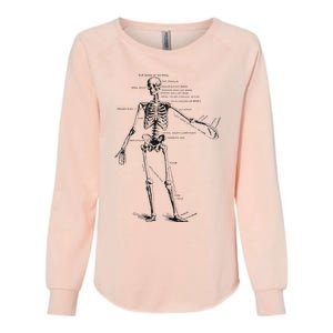 Human Skeleton Anatomy Drawing Diagram Womens California Wash Sweatshirt