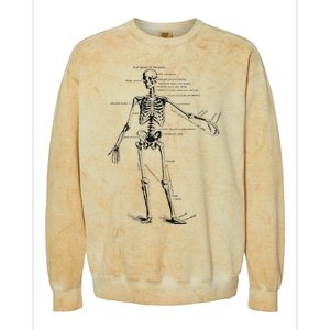 Human Skeleton Anatomy Drawing Diagram Colorblast Crewneck Sweatshirt