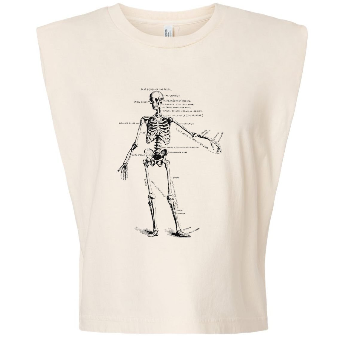 Human Skeleton Anatomy Drawing Diagram Garment-Dyed Women's Muscle Tee