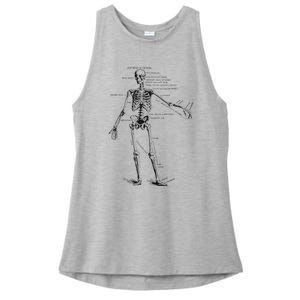 Human Skeleton Anatomy Drawing Diagram Ladies PosiCharge Tri-Blend Wicking Tank