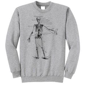 Human Skeleton Anatomy Drawing Diagram Tall Sweatshirt