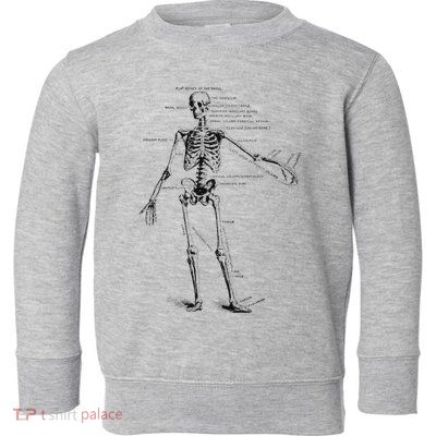 Human Skeleton Anatomy Drawing Diagram Toddler Sweatshirt