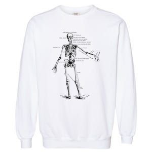 Human Skeleton Anatomy Drawing Diagram Garment-Dyed Sweatshirt