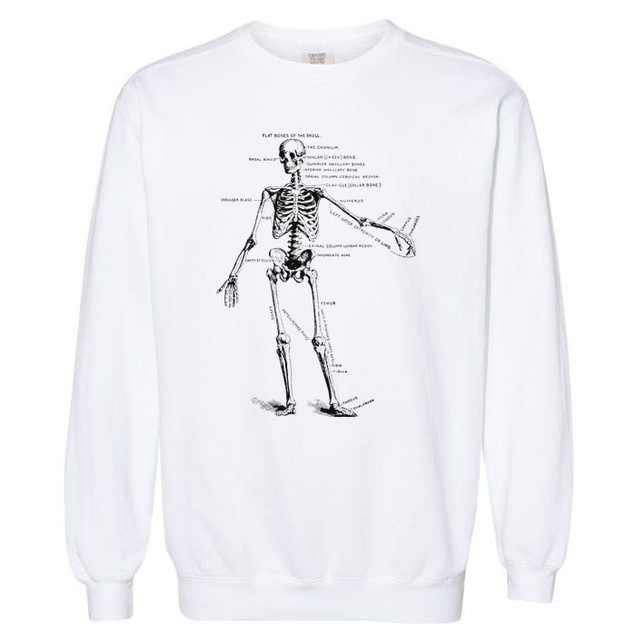 Human Skeleton Anatomy Drawing Diagram Garment-Dyed Sweatshirt