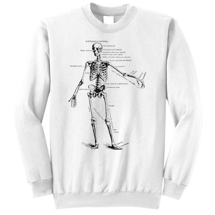 Human Skeleton Anatomy Drawing Diagram Sweatshirt