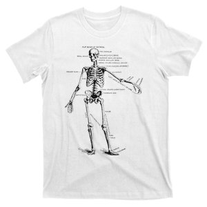 Human Skeleton Anatomy Drawing Diagram T-Shirt