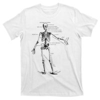 Human Skeleton Anatomy Drawing Diagram T-Shirt