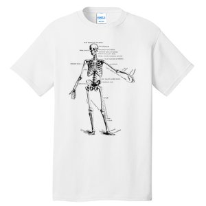 Human Skeleton Anatomy Drawing Diagram Tall T-Shirt