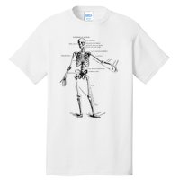 Human Skeleton Anatomy Drawing Diagram Tall T-Shirt