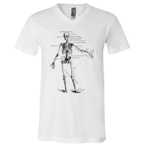 Human Skeleton Anatomy Drawing Diagram V-Neck T-Shirt