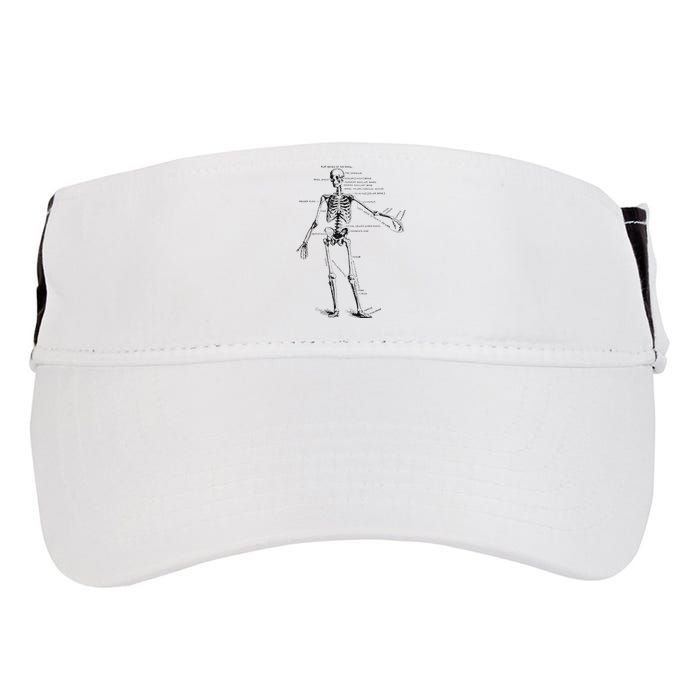 Human Skeleton Anatomy Drawing Diagram Adult Drive Performance Visor
