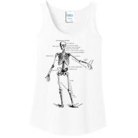 Human Skeleton Anatomy Drawing Diagram Ladies Essential Tank