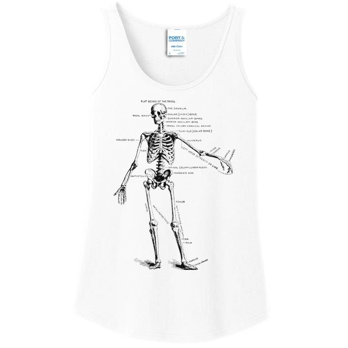 Human Skeleton Anatomy Drawing Diagram Ladies Essential Tank