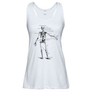 Human Skeleton Anatomy Drawing Diagram Ladies Essential Flowy Tank