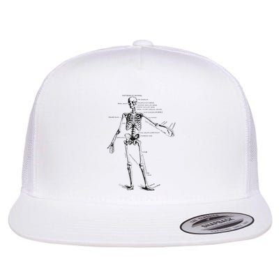 Human Skeleton Anatomy Drawing Diagram Flatbill Hat