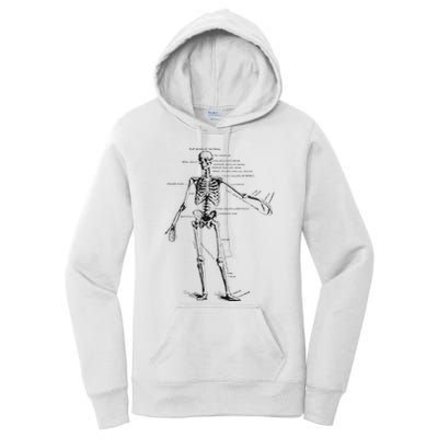Human Skeleton Anatomy Drawing Diagram Women's Pullover Hoodie