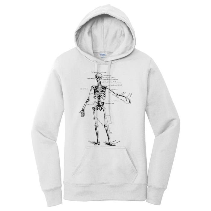 Human Skeleton Anatomy Drawing Diagram Women's Pullover Hoodie