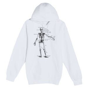 Human Skeleton Anatomy Drawing Diagram Premium Pullover Hoodie