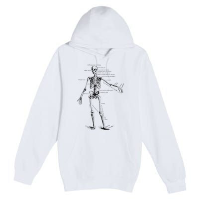 Human Skeleton Anatomy Drawing Diagram Premium Pullover Hoodie