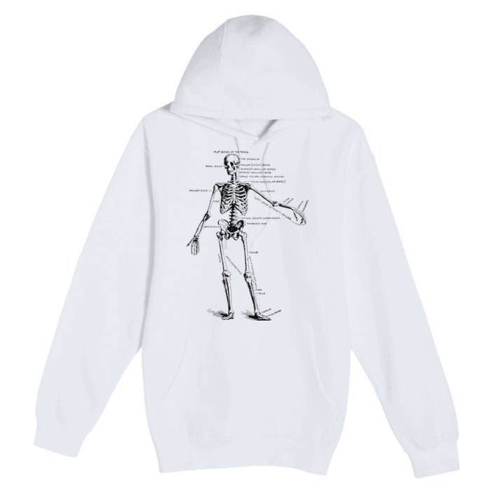 Human Skeleton Anatomy Drawing Diagram Premium Pullover Hoodie